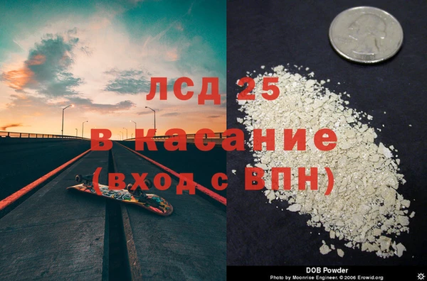 сатива Алзамай
