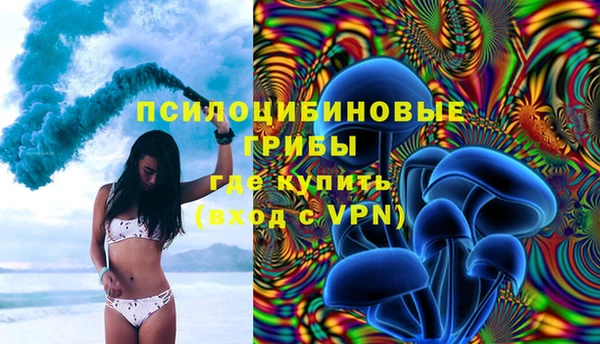 героин Алексин