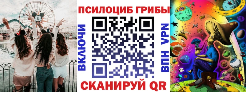 Псилоцибиновые грибы Psilocybe  OMG ONION  Лихославль 